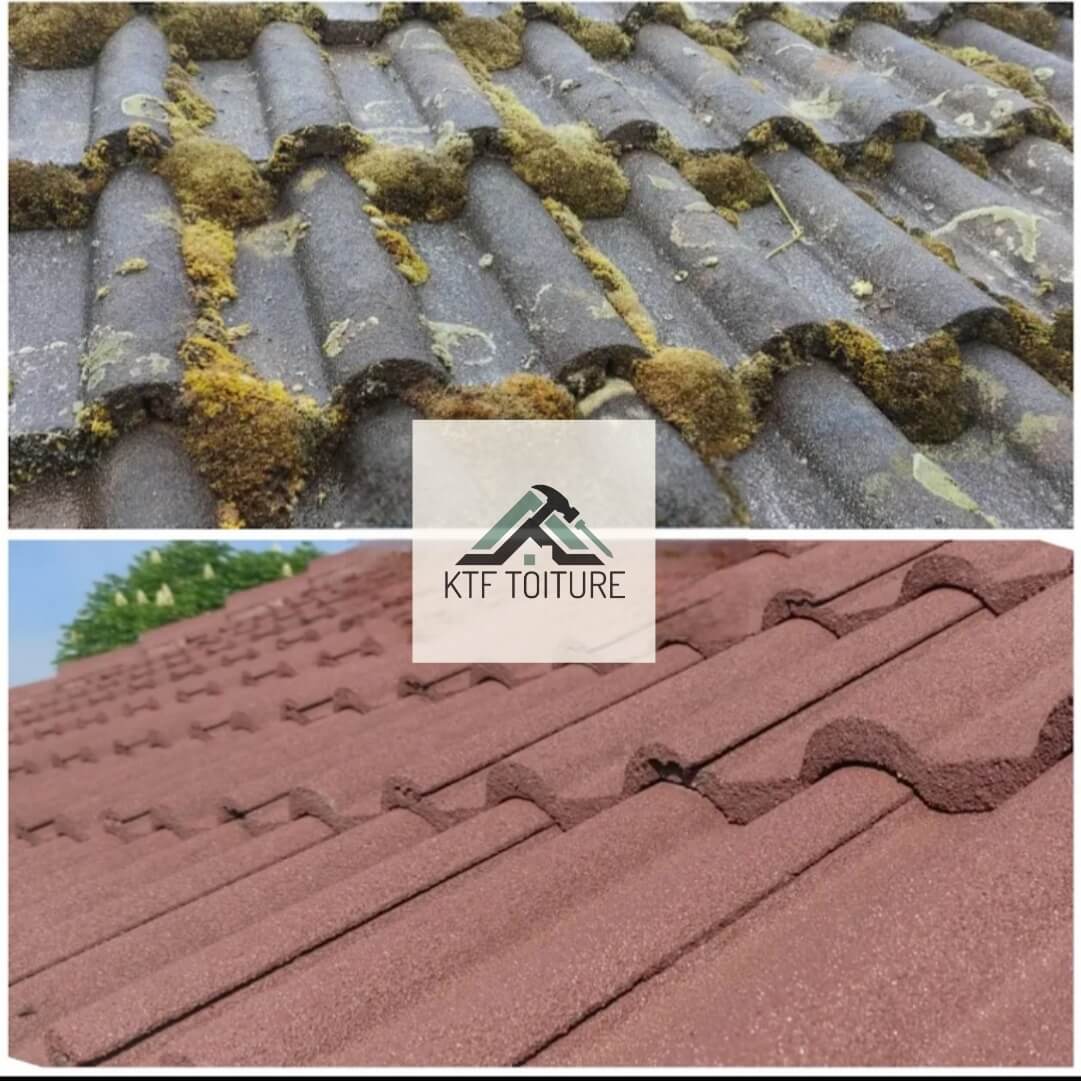 KTF toiture demoussage